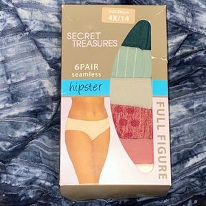 Size 4X Ladies Hipster Panties